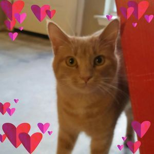 Meet your Posher, Jill